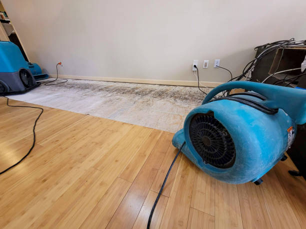 Professional Flood Damage Cleanup technician working in Galena, IL